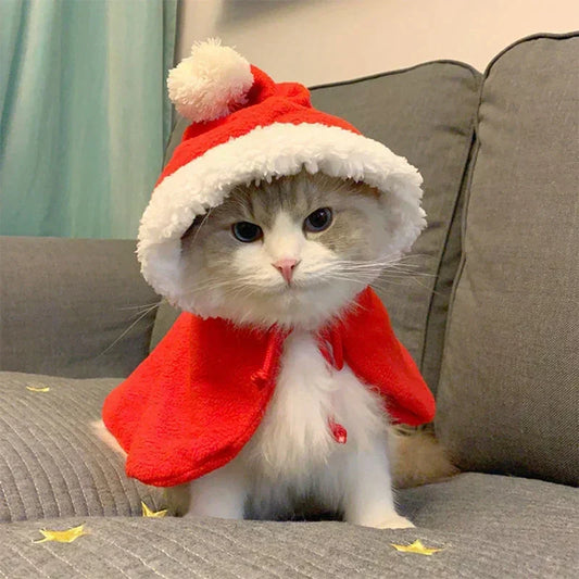 Review-The-Adorable-Cat-Santa-Suit-from-Bitora-That-Will-Win-Christmas Bitora