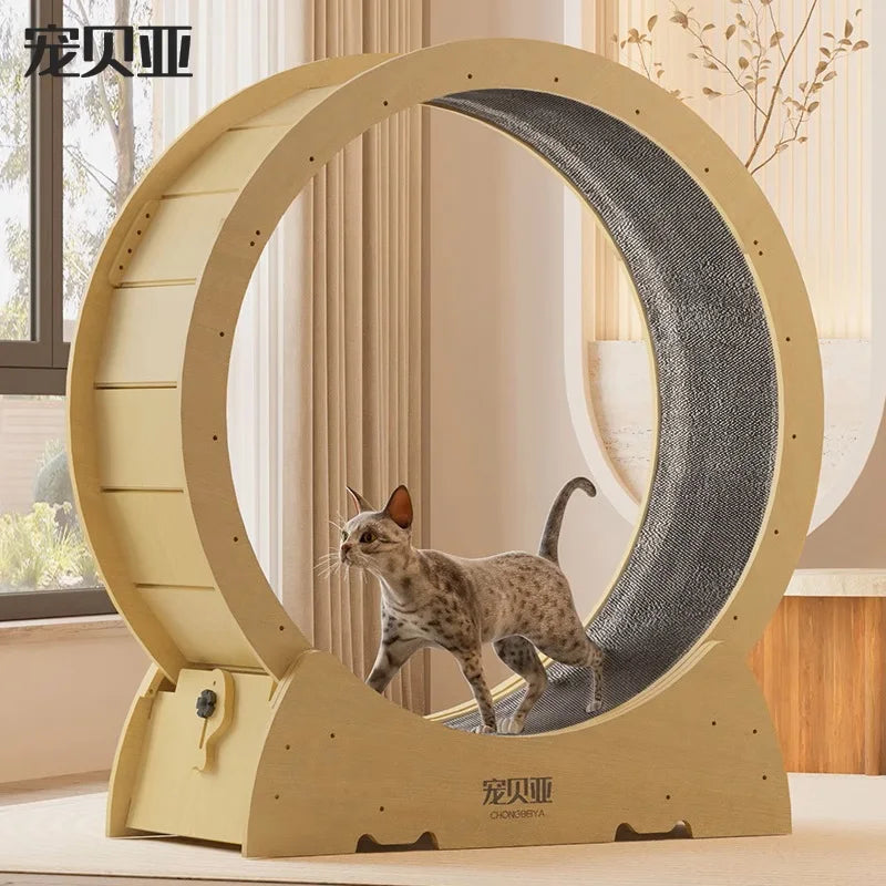 Cat Circle Treadmill Safe and Durable Running Toy