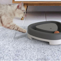 Interactive electric cat toy scratcher