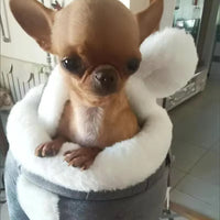 Cozy padded interior of small dog carrier for puppies and cats