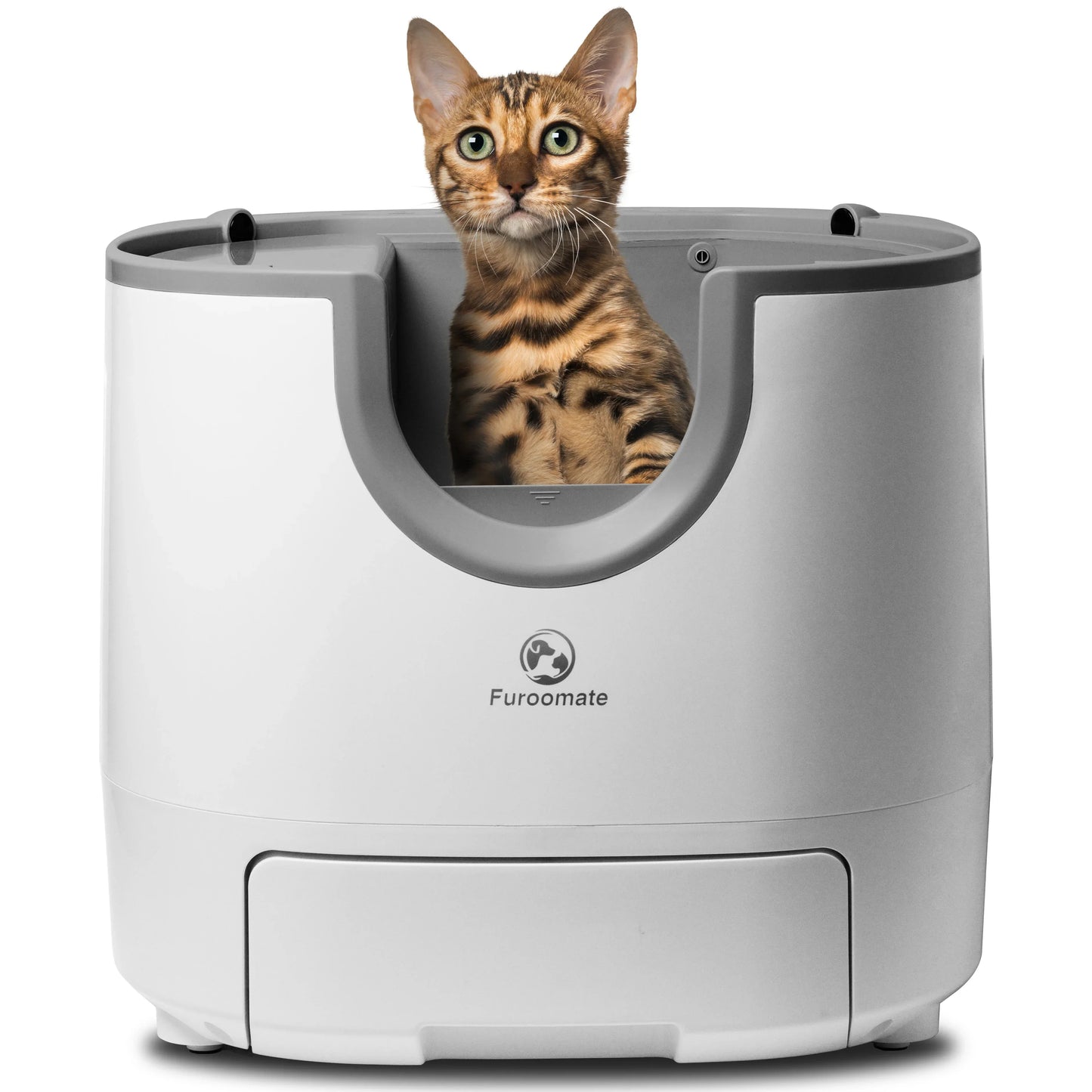 Self cleaning litter box open-top design for multi-cat homes