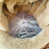 Small Dog Carrier Bag Winter Warm Pet Travel Backpack - Bitora