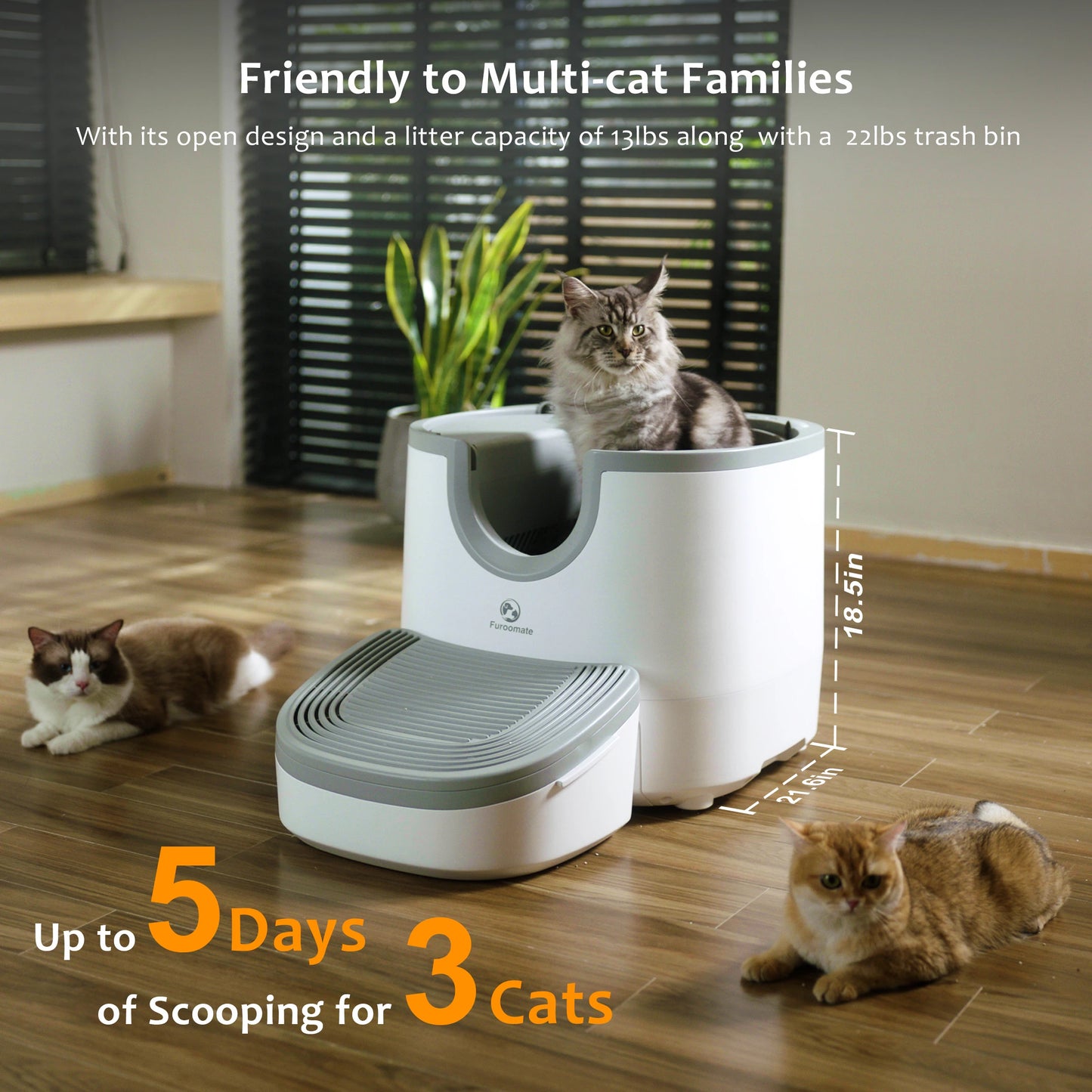 Cat using Furoomatepet self cleaning litter box