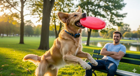 Top 5 GPS Pet Trackers: Never Lose Your Dog Again - Bitora