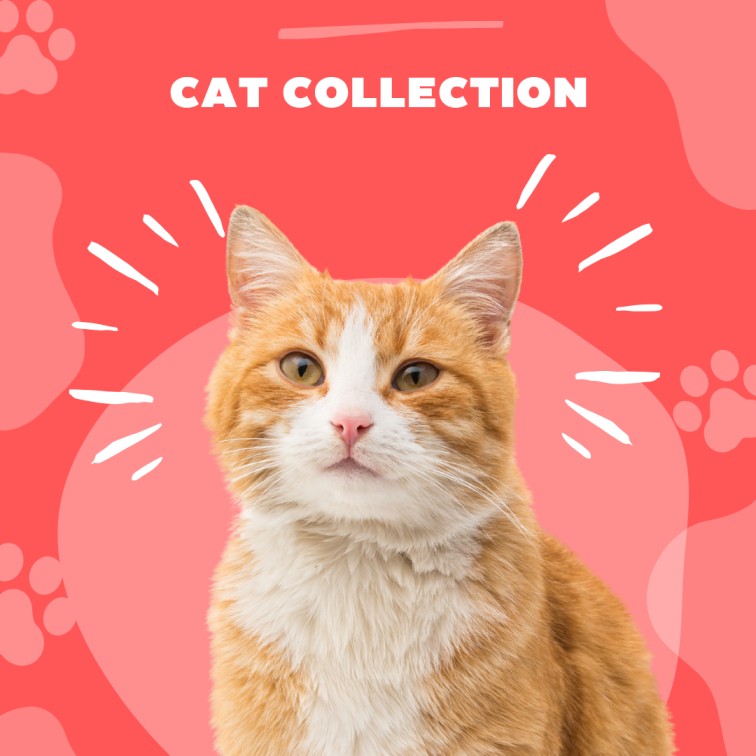 Soft plush cat bed for cozy sleeping β part of our premium Cat Collection.