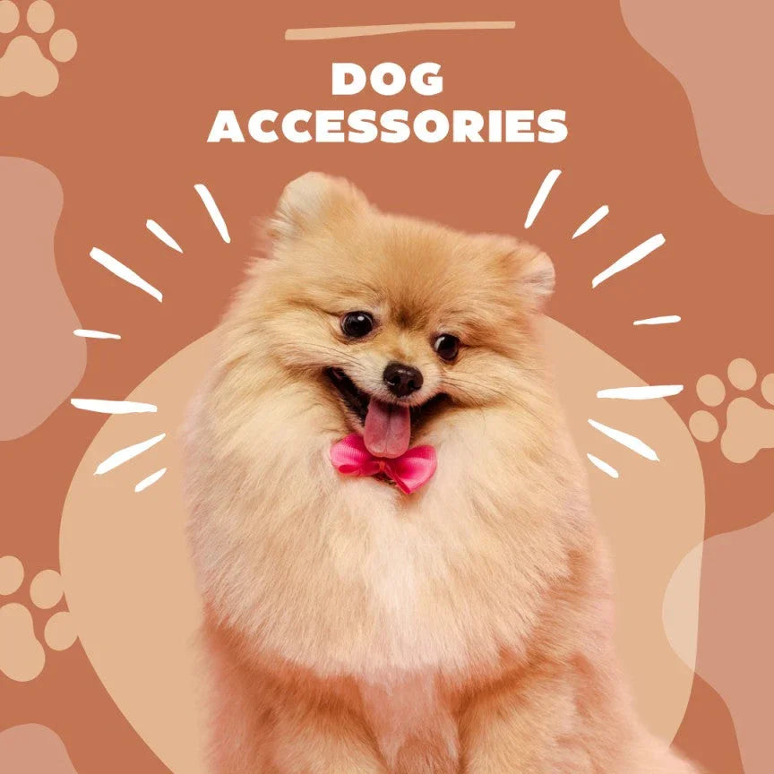 Dog Accessories Bitora shop usa