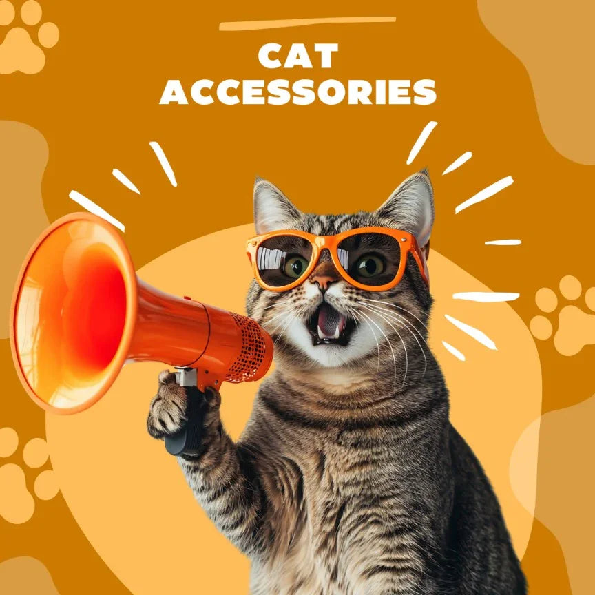 cat Accessories Bitora Shop USA