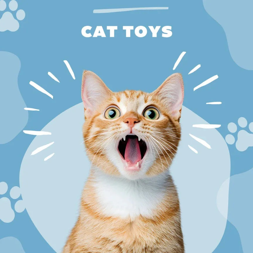 cat toys bitora shop usa