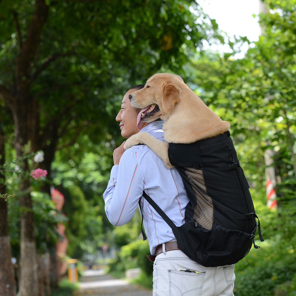 Owner carrying small dog in comfortable dog backpack