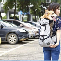 Dog Backpack Ventilated Travel Carrier for Pets - Bitora