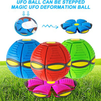 Durable dog toys for outdoor yard games and pet activity