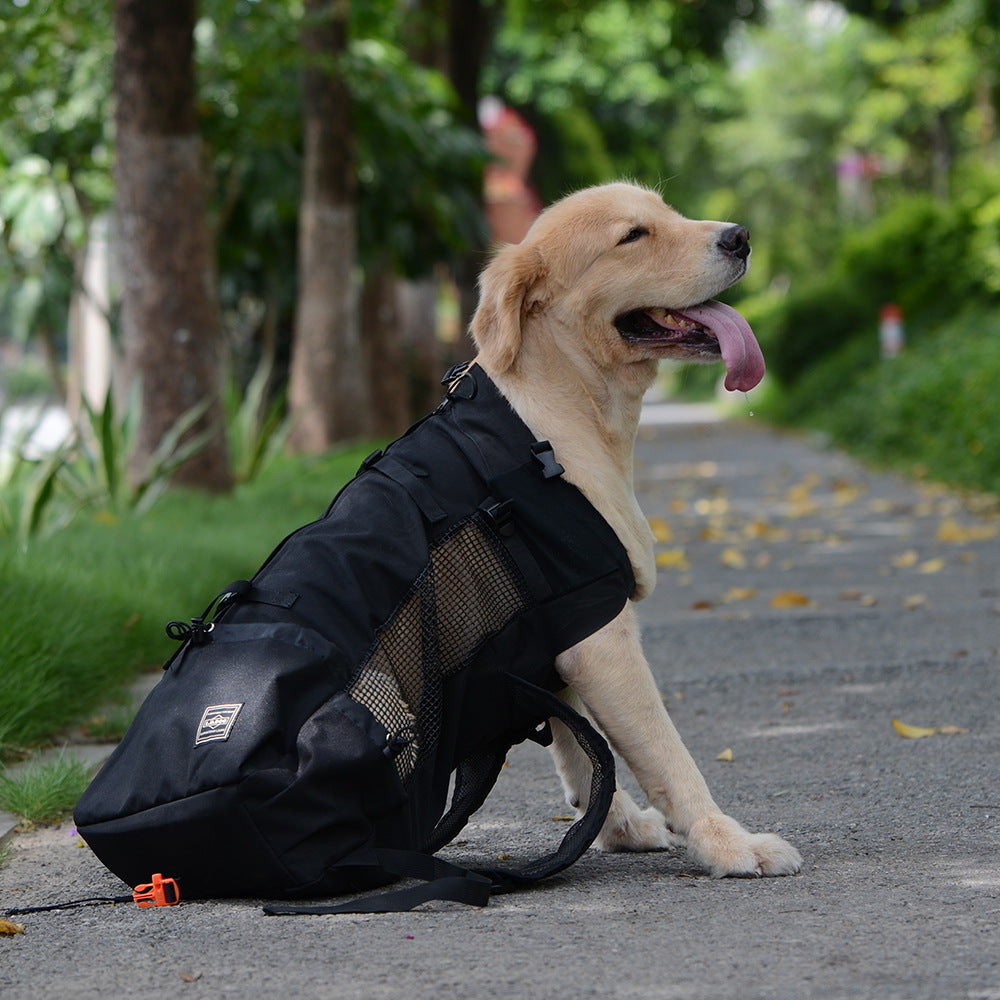 Dog Backpack Ventilated Travel Carrier for Pets - Bitora
