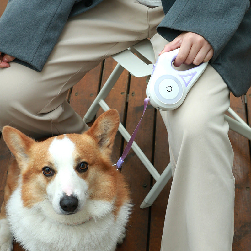 Automatic brake system double dog leash handle