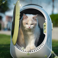 Pet travel carrier backpack with transparent bubble design