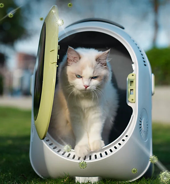 Pet travel carrier backpack with transparent bubble design