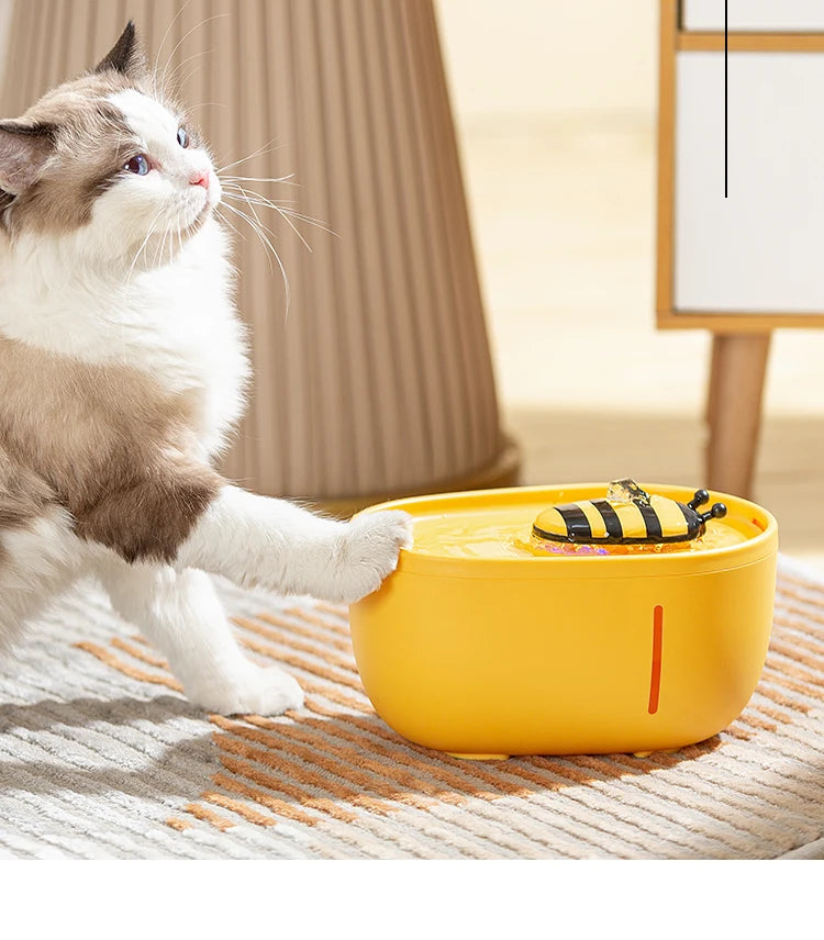 Cat Water Bowl Fountain with Auto Filter & USB Electric Mute Pump -  Bitora