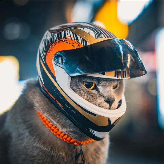 Cat Bike Helmet Mini Outdoor Pet Safety Hat for Cats & Dogs -  Bitora