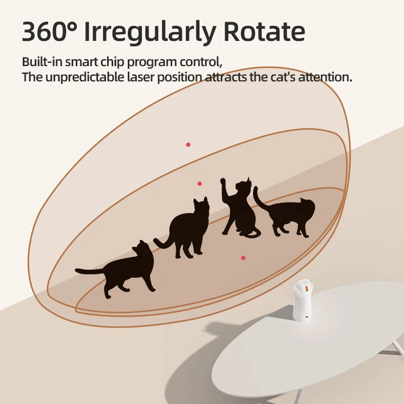 Cat Playing with Automatic Cat Laser