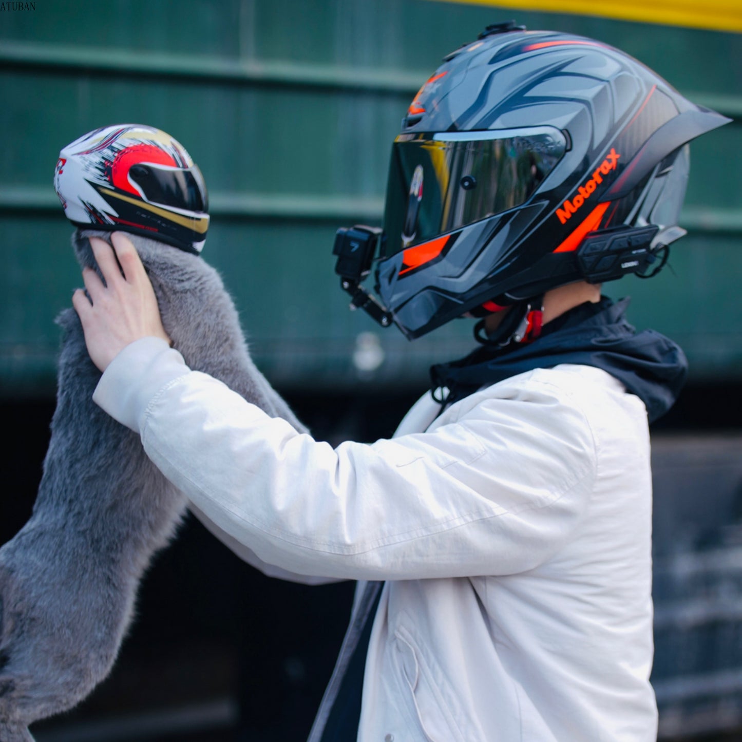 Cat Bike Helmet Mini Outdoor Pet Safety Hat for Cats & Dogs -  Bitora