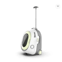 Small cat inside pet travel carrier backpack bubble