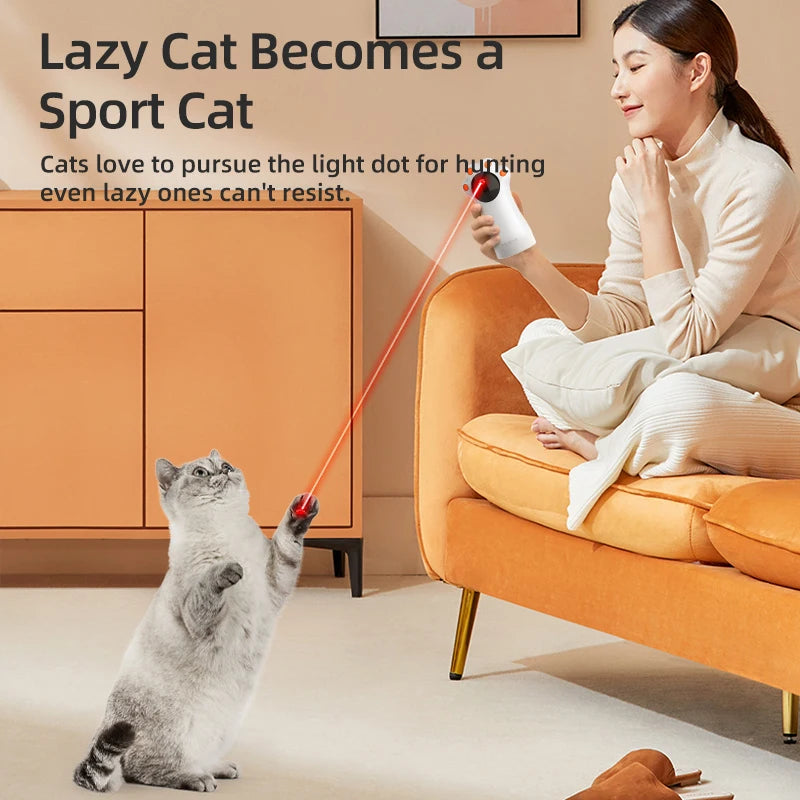Cat Playing with Automatic Cat Laser