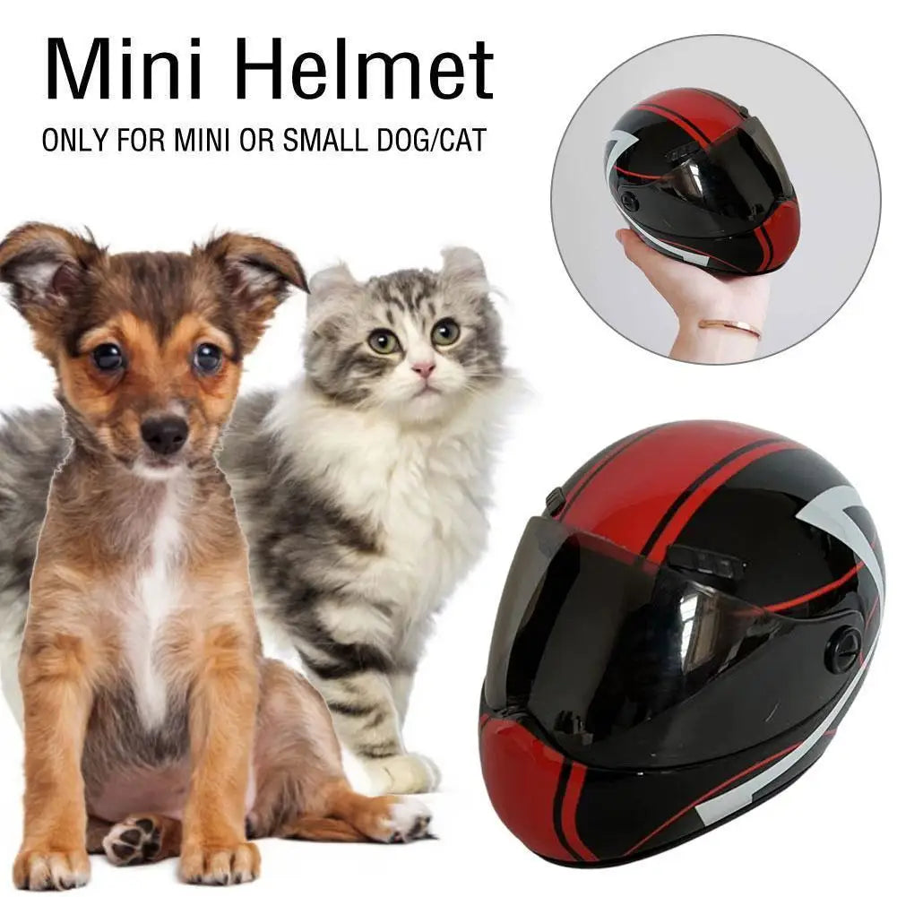 Cat Bike Helmet Mini Outdoor Pet Safety Hat for Cats & Dogs -  Bitora