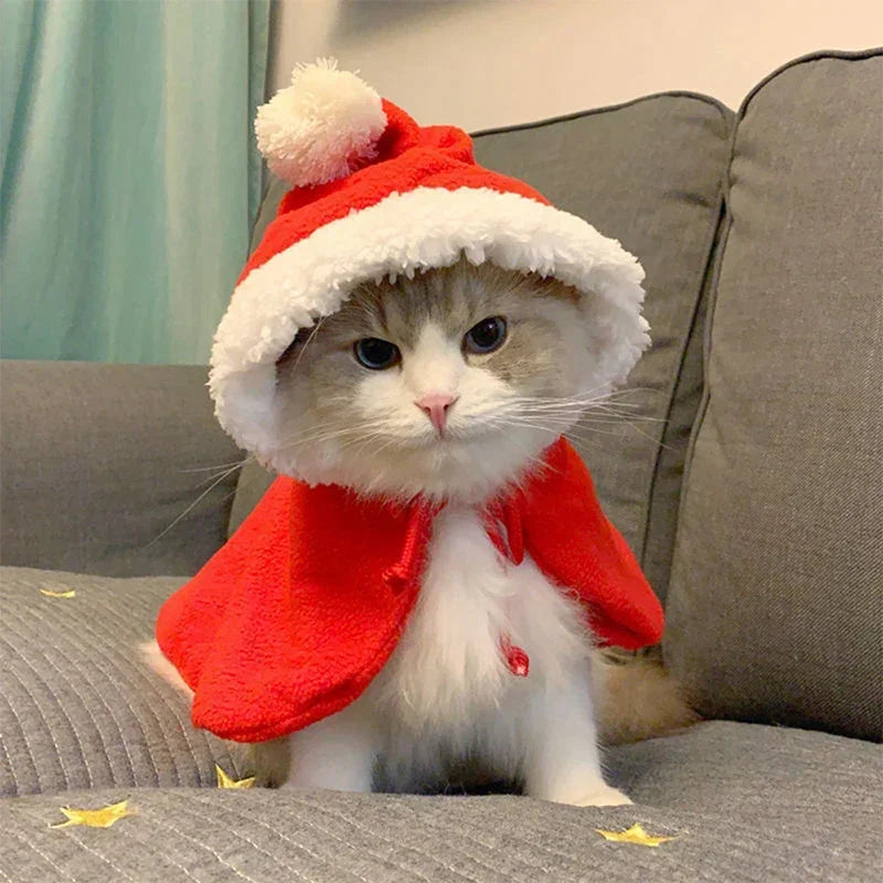 Cat Santa Suit Christmas Costume with Cloak and Hat -  Bitora