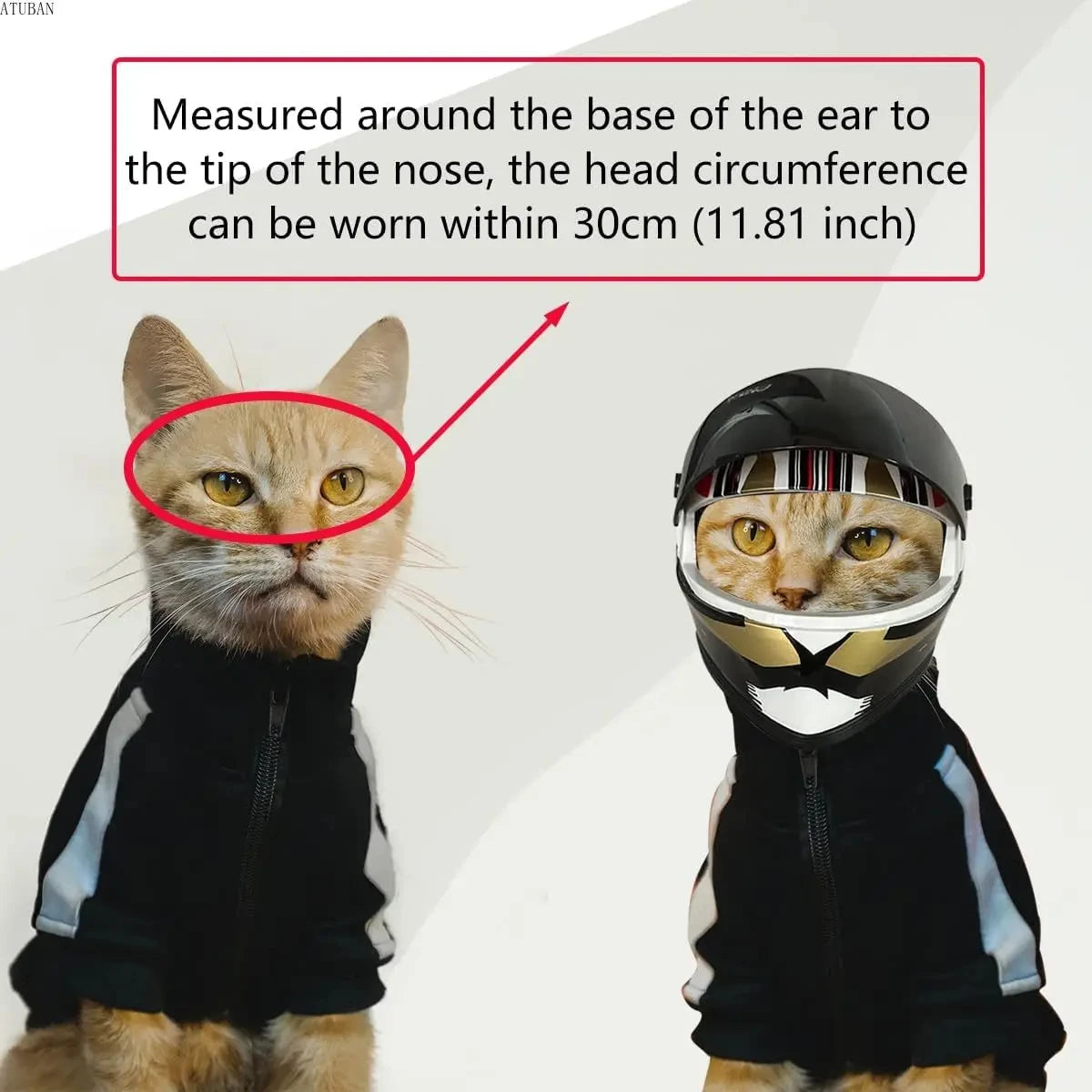 Cat Bike Helmet Mini Outdoor Pet Safety Hat for Cats & Dogs -  Bitora