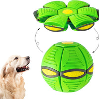 Dog toys for kids and pets perfect gift for playtime fun